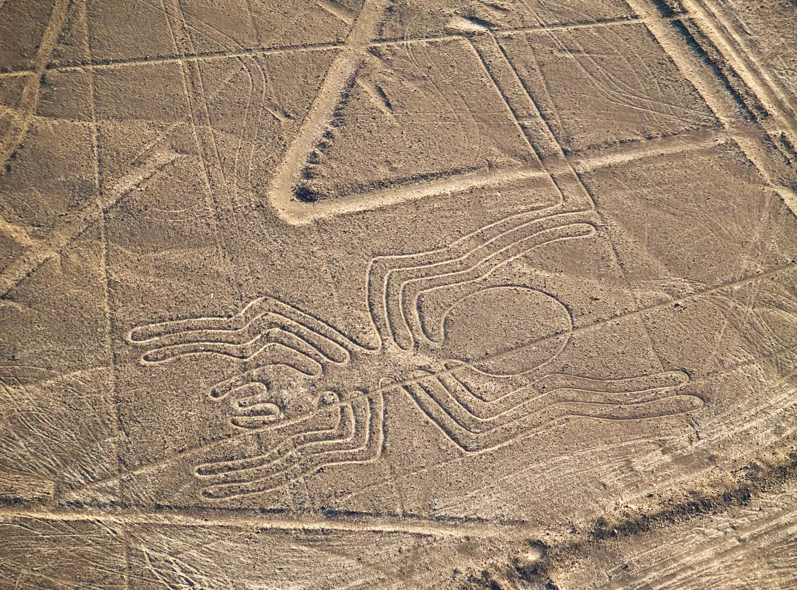 nazca